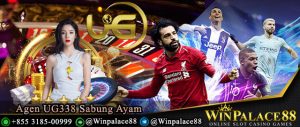 Agen Ultimate Gaming Sabung Ayam